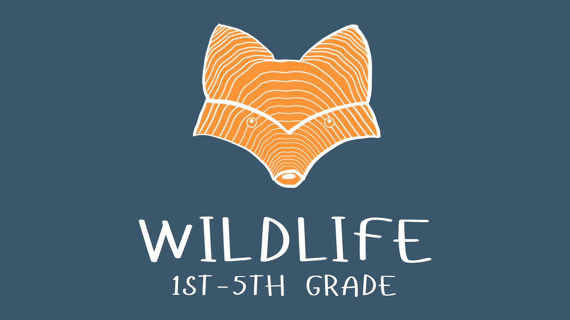HD Wildlife Logo.jpg