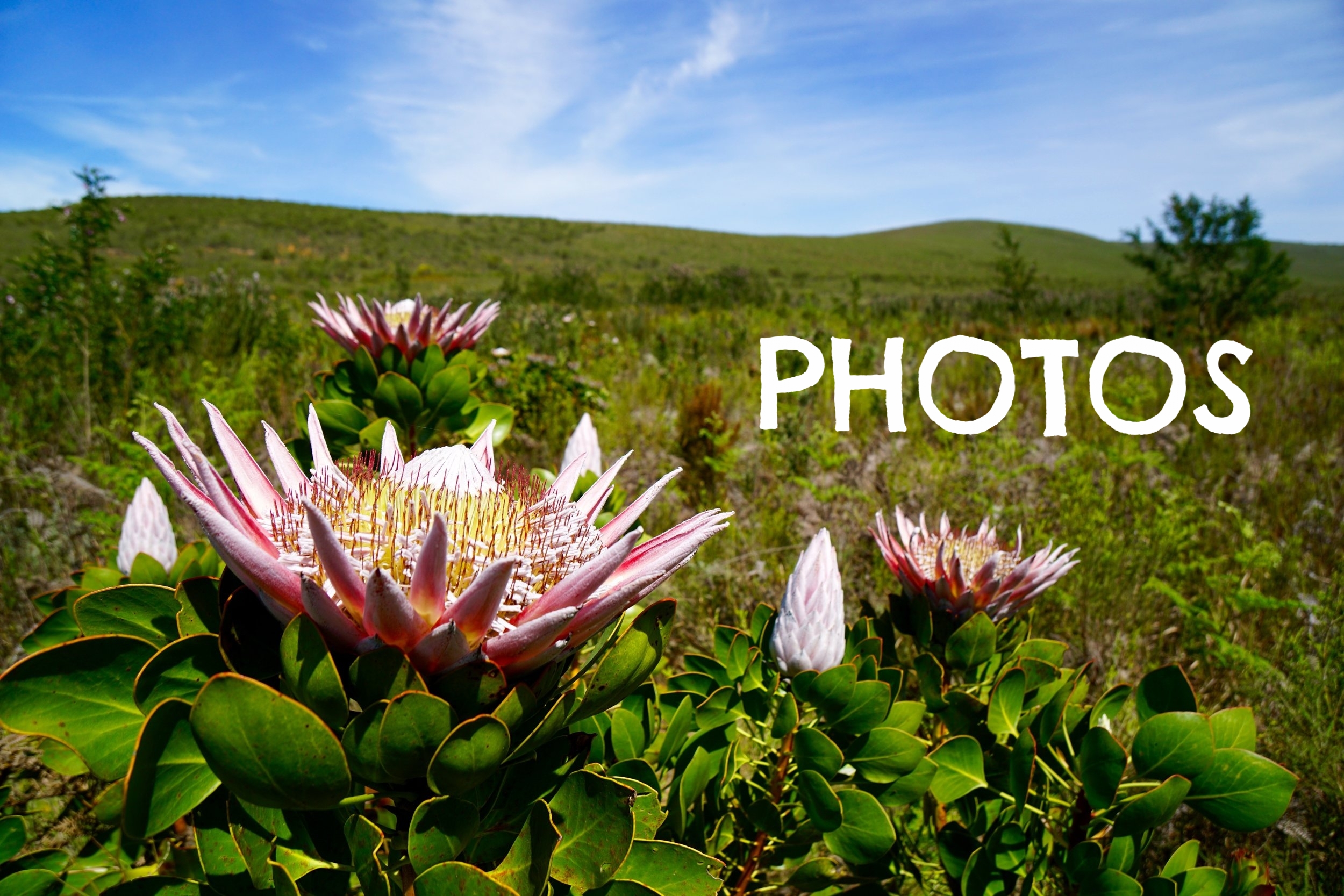 South Africa