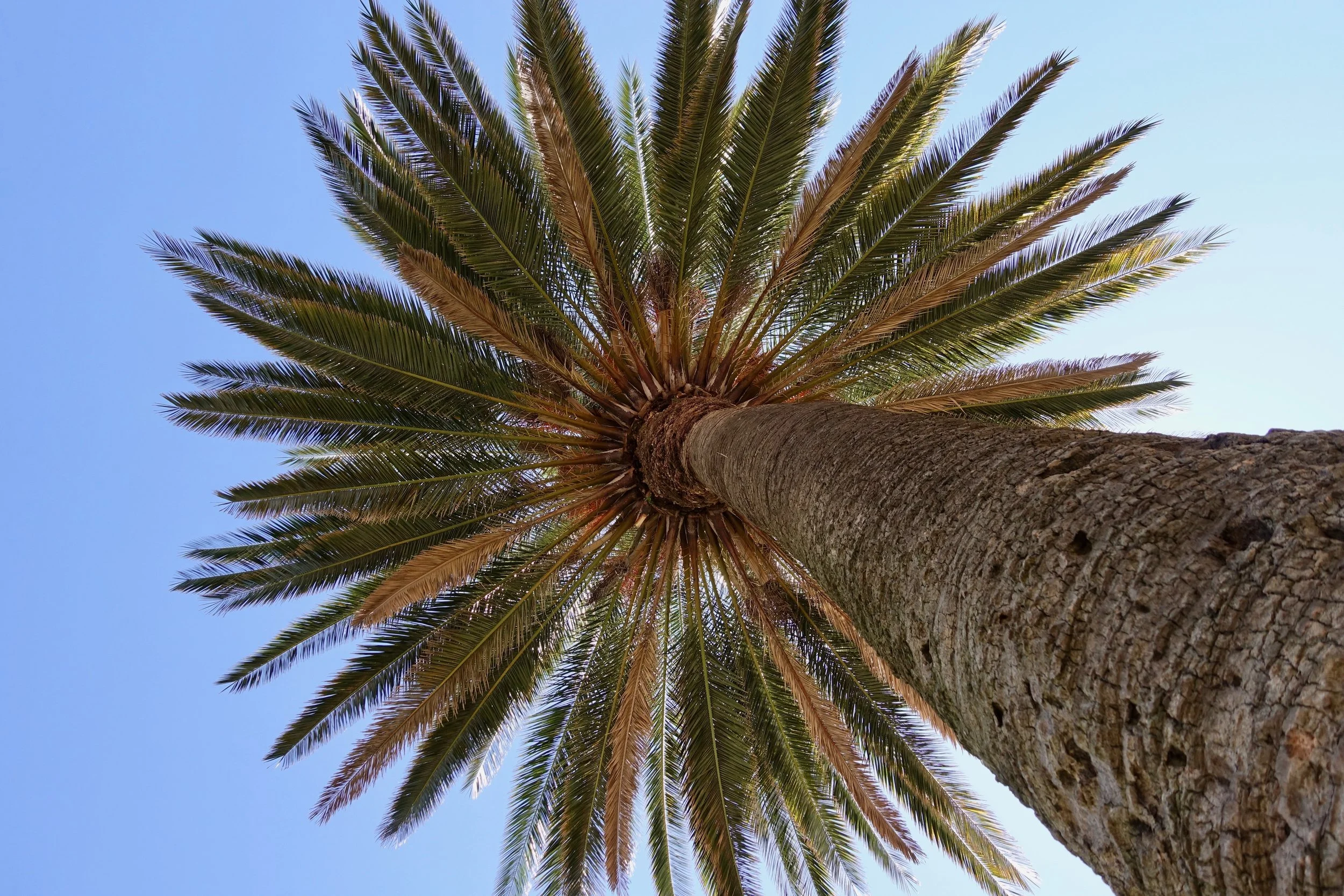 RX_01665.jpg