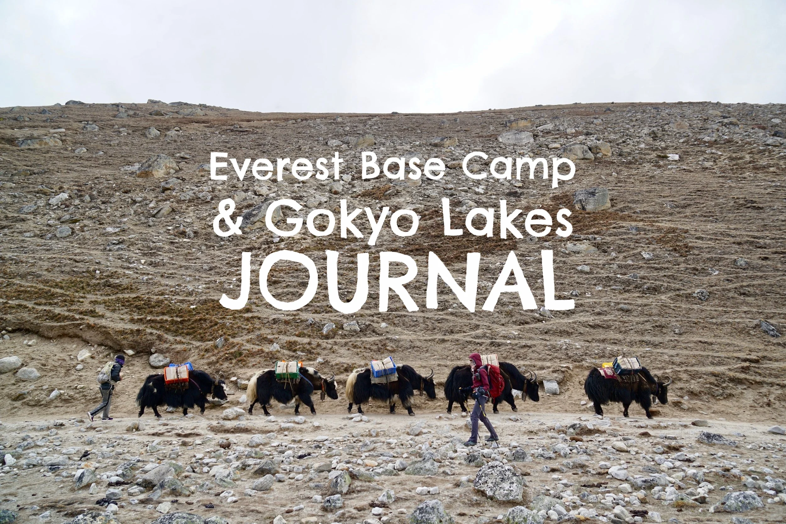 Day 8 - 10 | Lobuche to Gorak Shep to Dragnag
