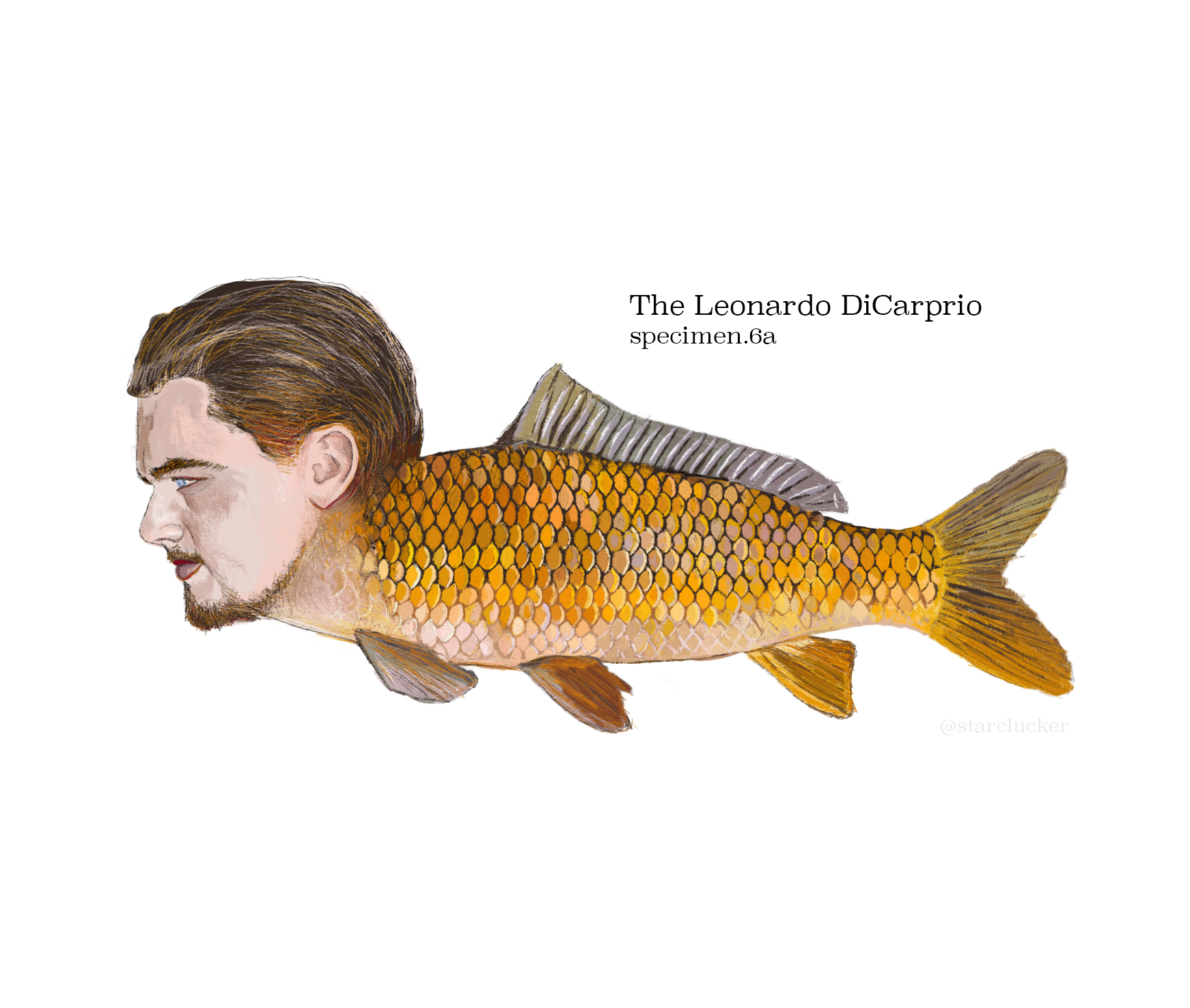  For my latest illustration project, I challenged myself to blend puns with celebrities and animals. Here are the results. All pieces are digitally hand-drawn. 