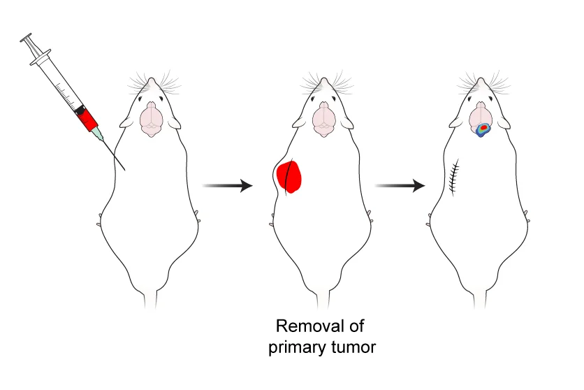 Figure 2 Corrected_2016_02_02_1641-03.jpg
