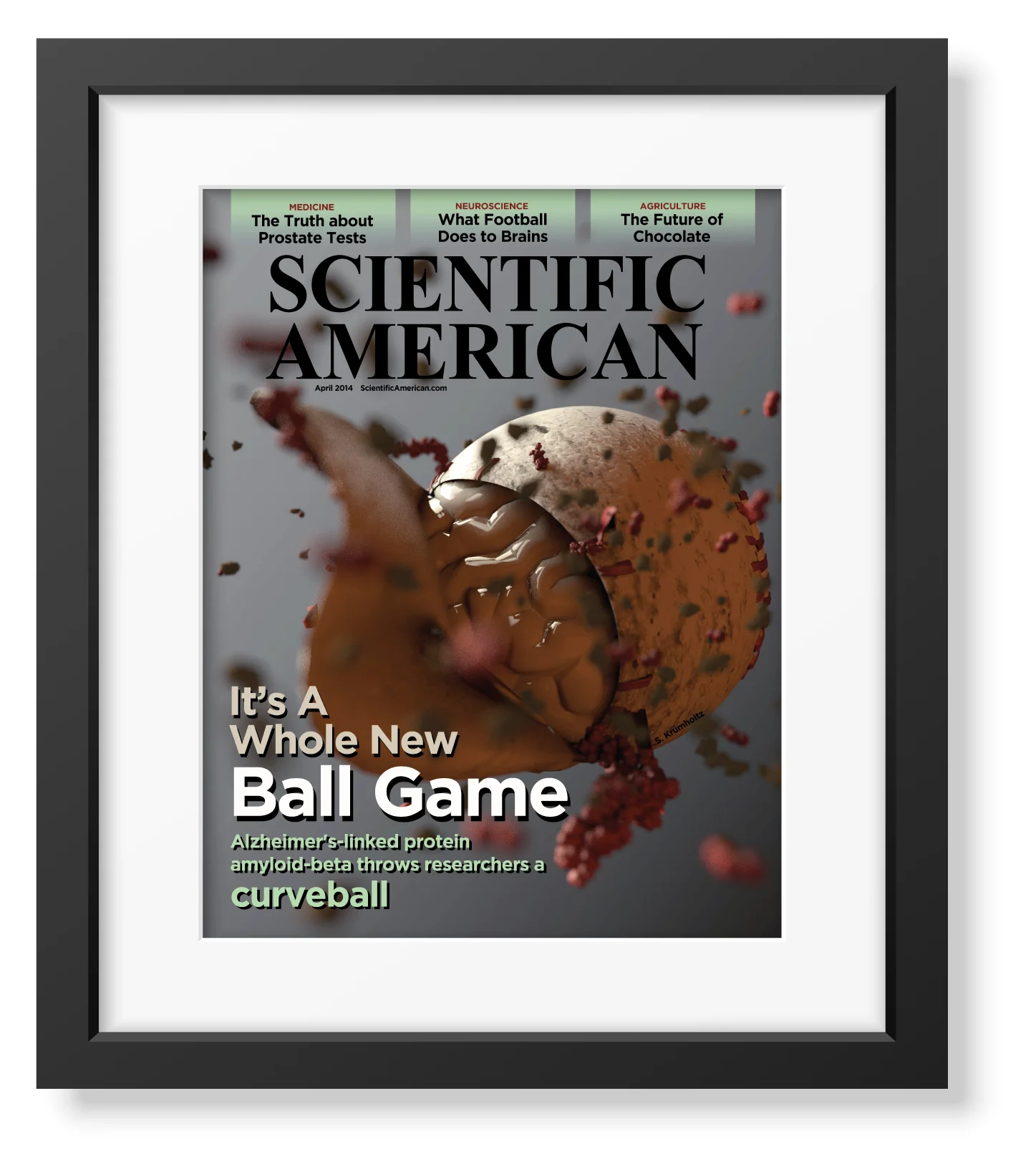 Framed_Baseball_Cover-02.jpg