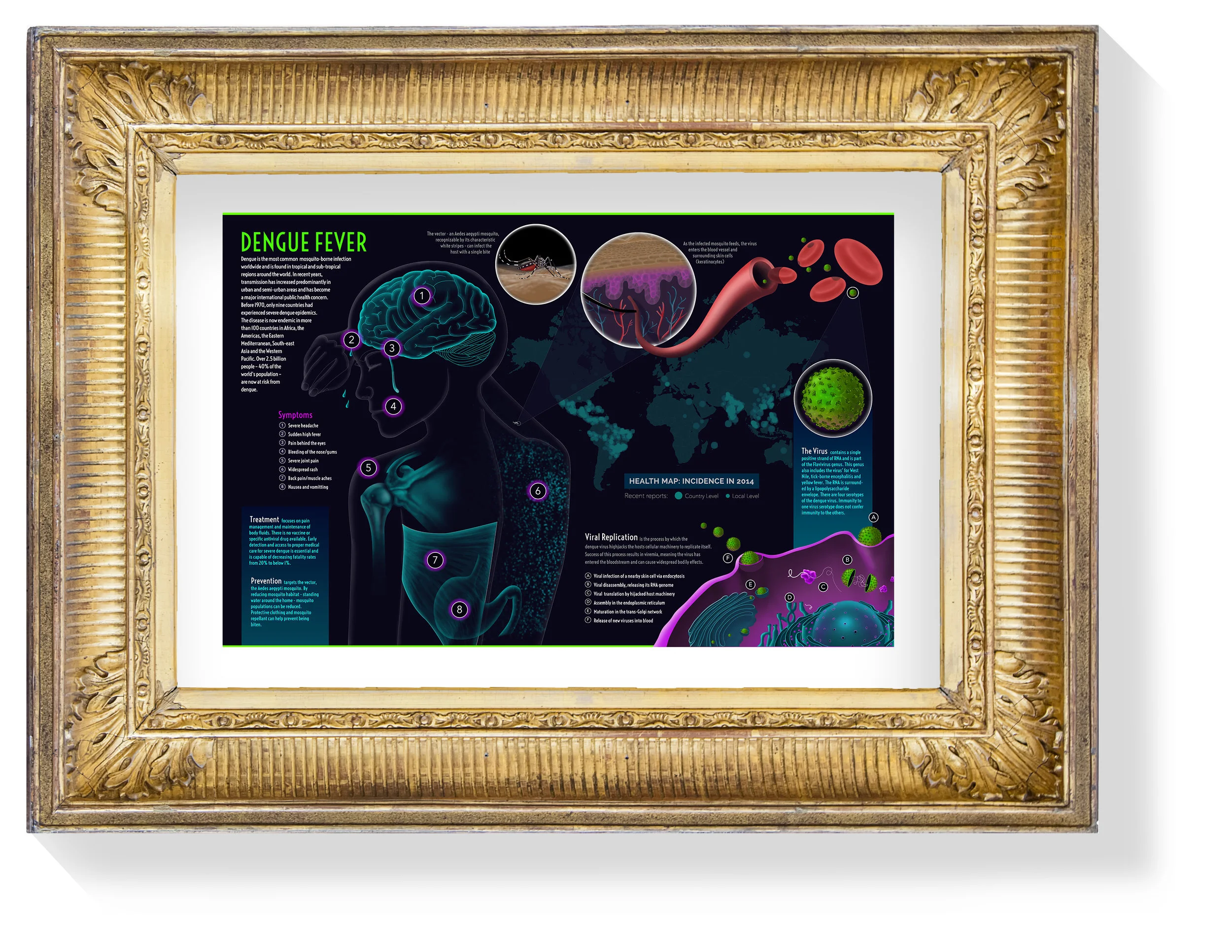 Framed_Dengue_Fever.jpg