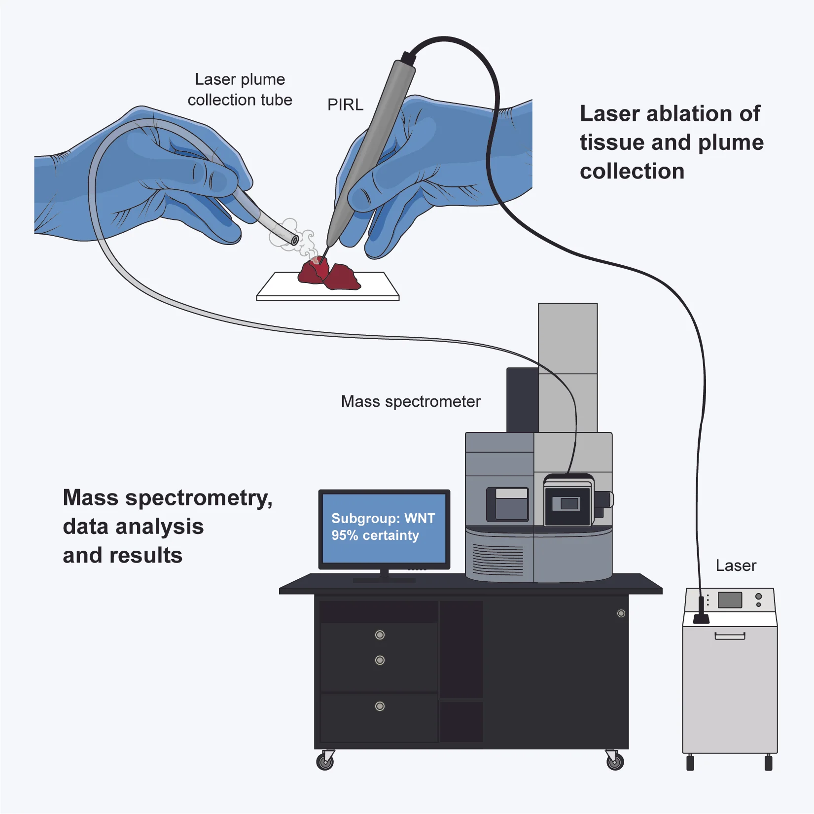 Arash Graphical Abstract.jpg