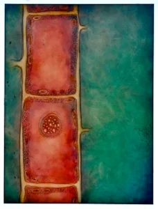 2013-02-plantcell-09-300.jpg
