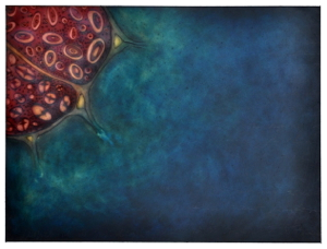 2013-02-plantcell-12-300.jpg
