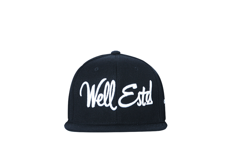 Well ESTED BLK white.png