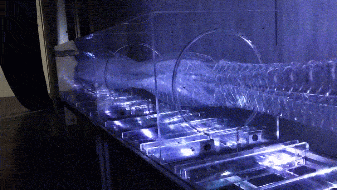 collider.gif