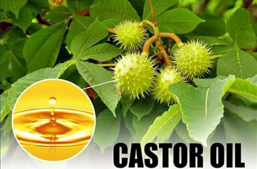 photo_2025-07-18 16.28.16.jpeg