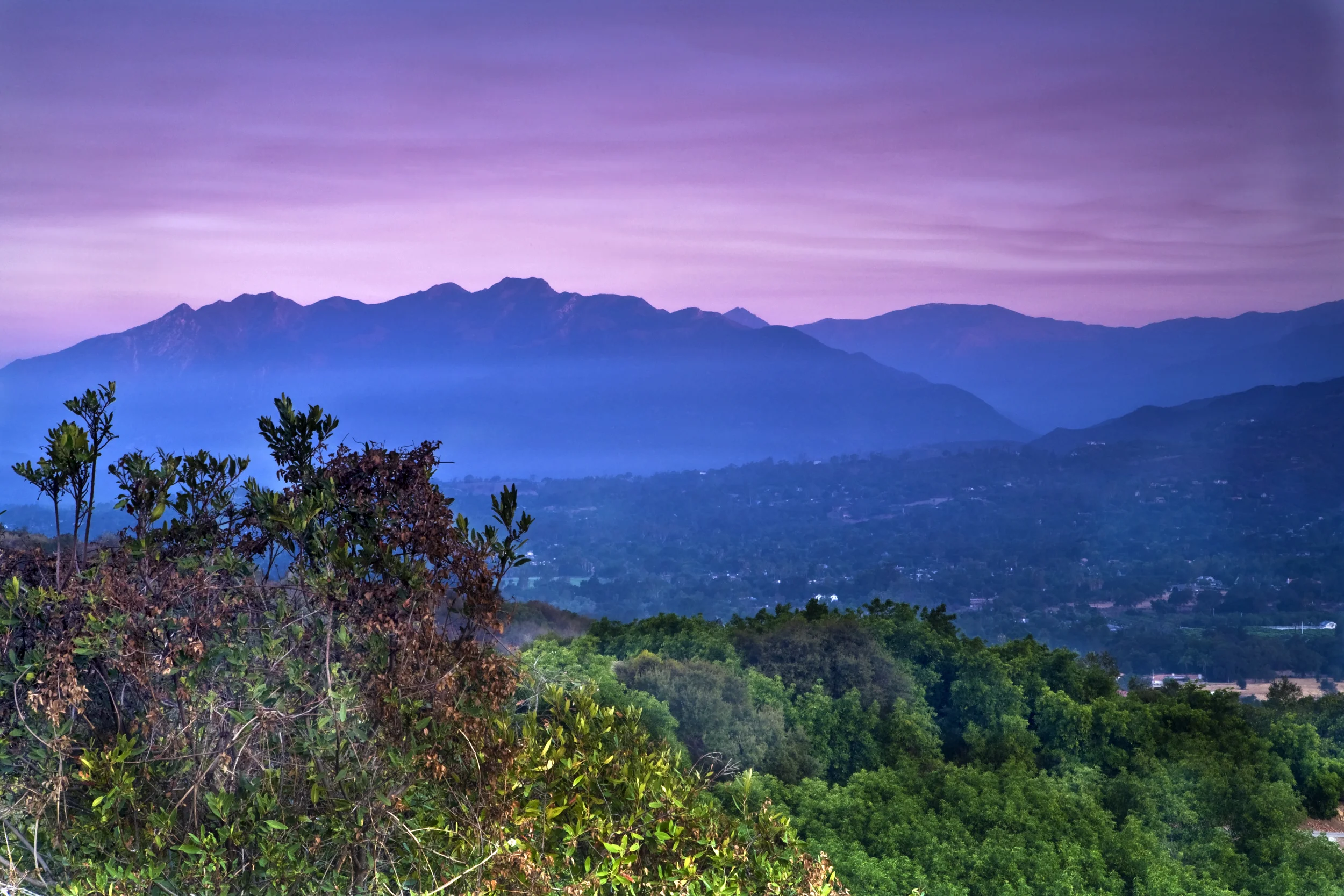 Dollarphotoclub_4217722.jpg