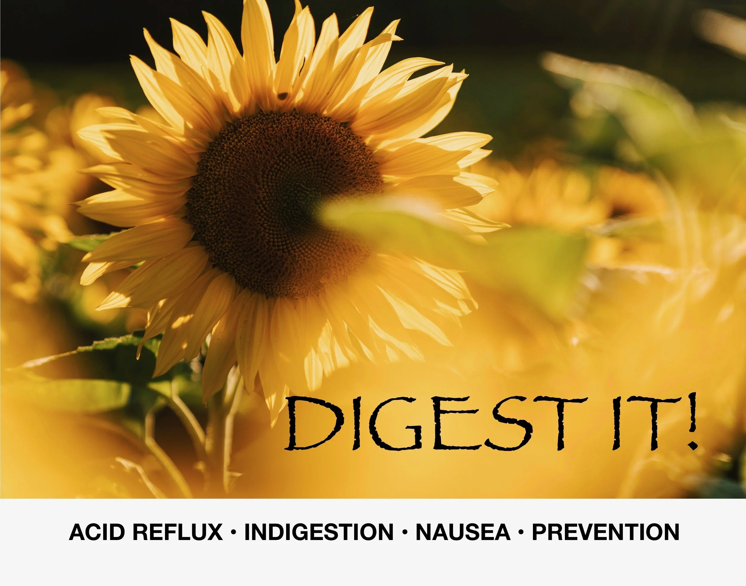 DIGEST IT PHOTO - FINAL - 1.jpg