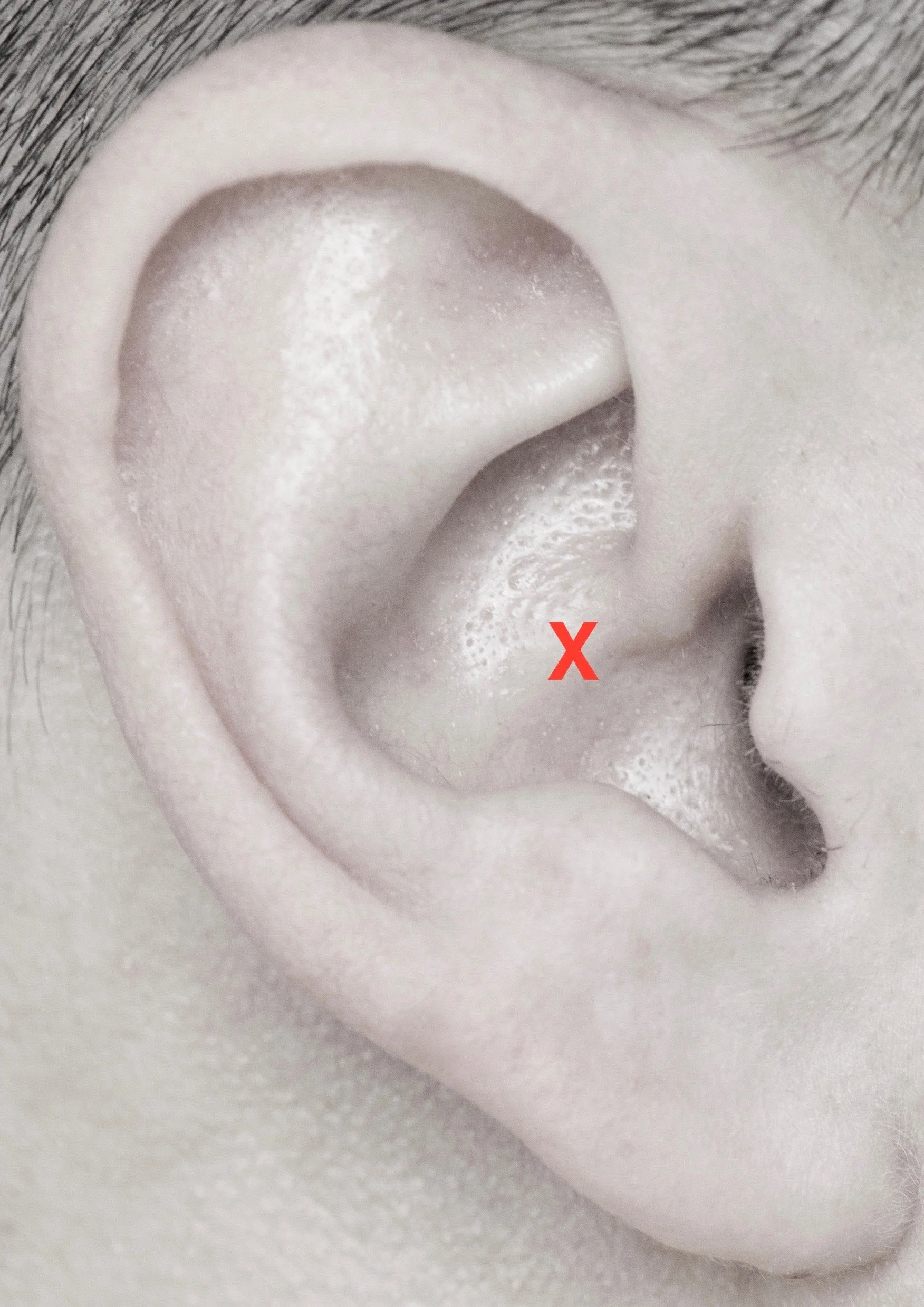 ZERO POINT EAR DIAGRAM - 1.jpg