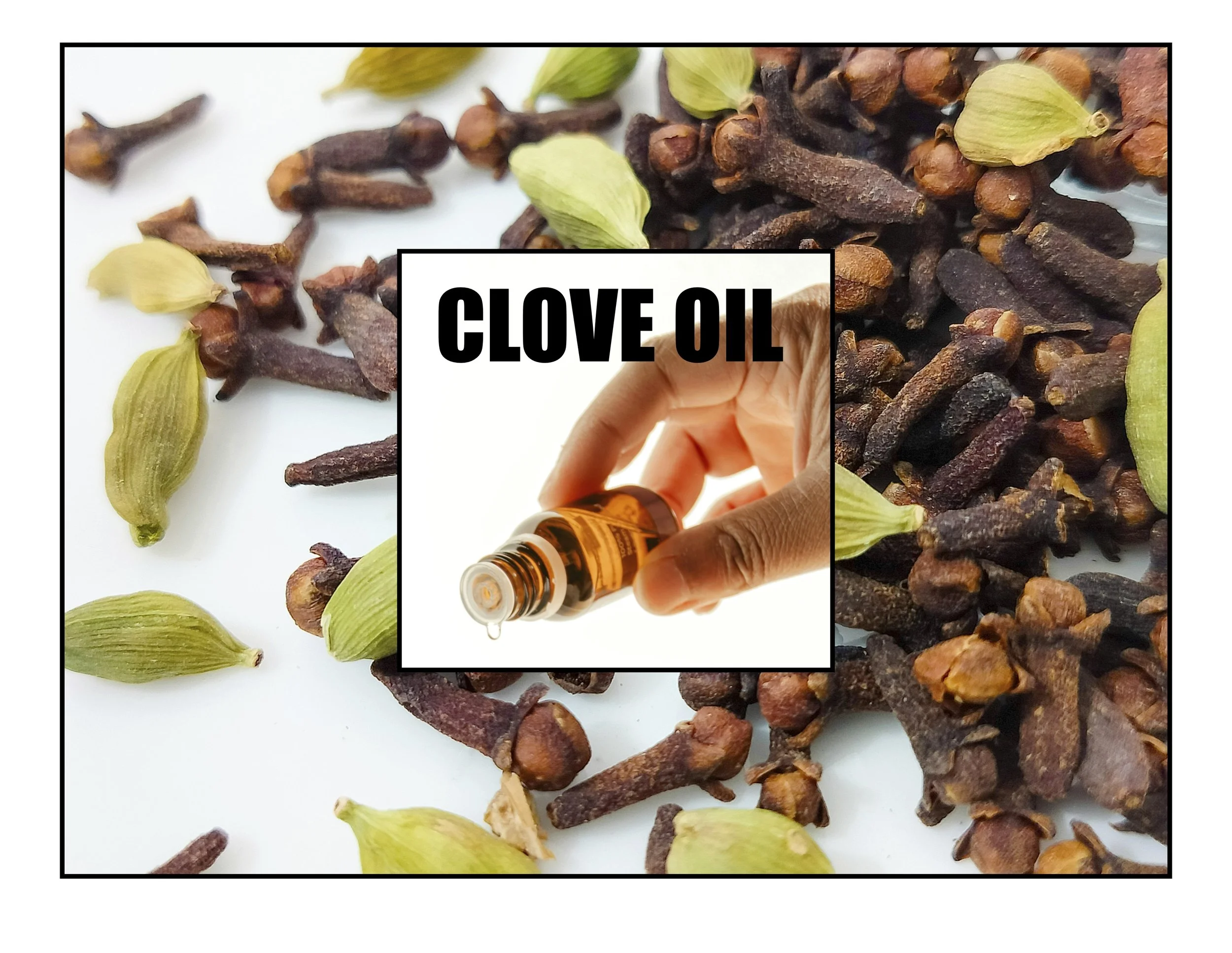 CLOVE OIL.jpg