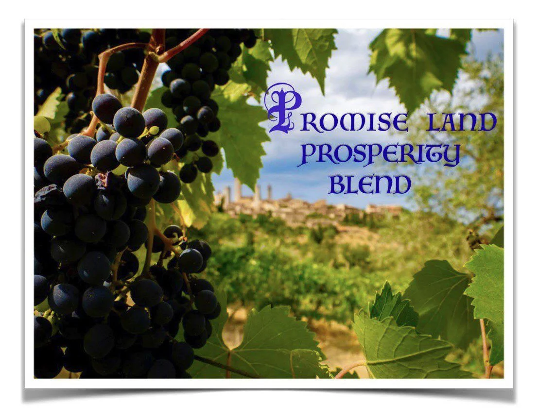 photo_2025-03-31 11.43.30.jpeg