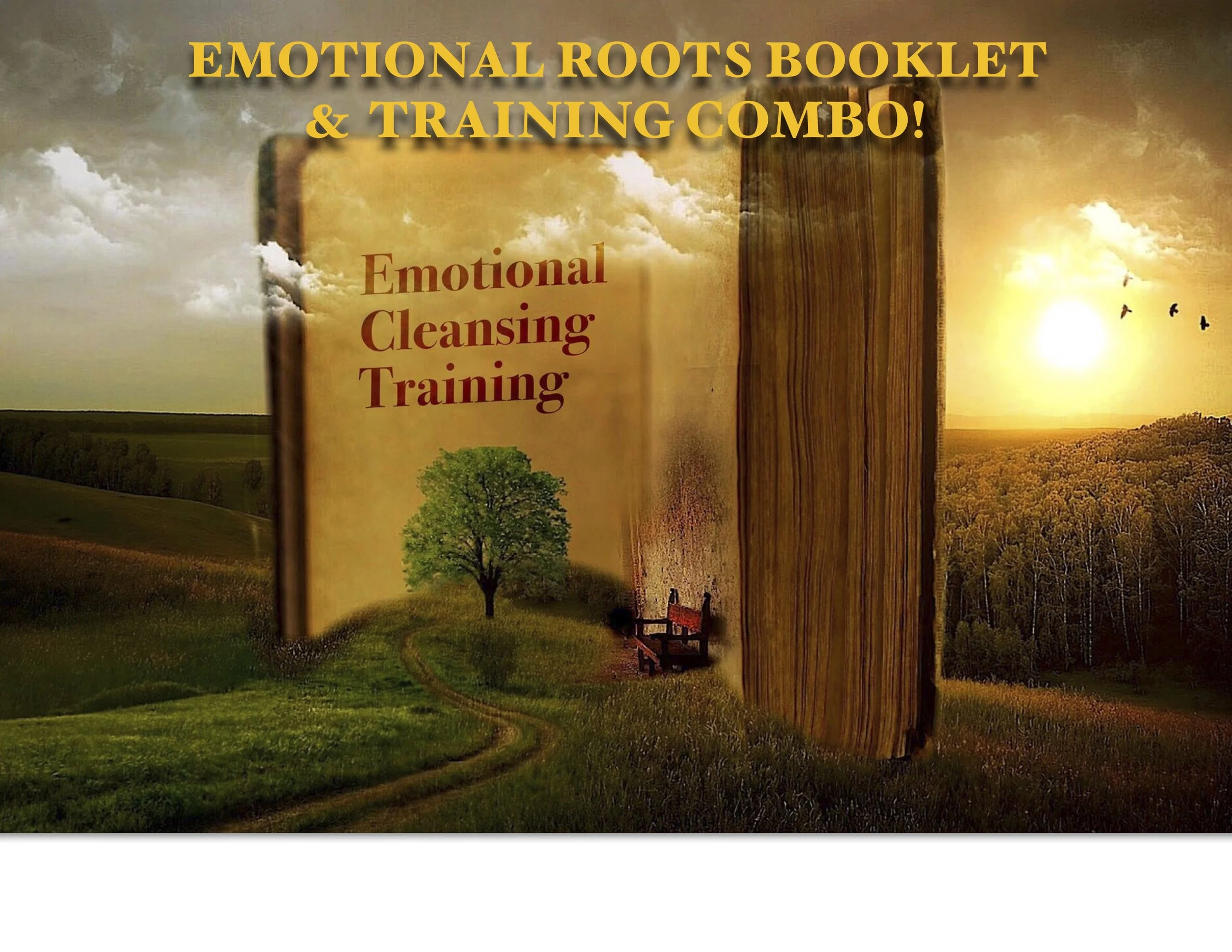 EMOTIONAL ROOTS BOOKLET &  TRAINING COMBO*.jpg