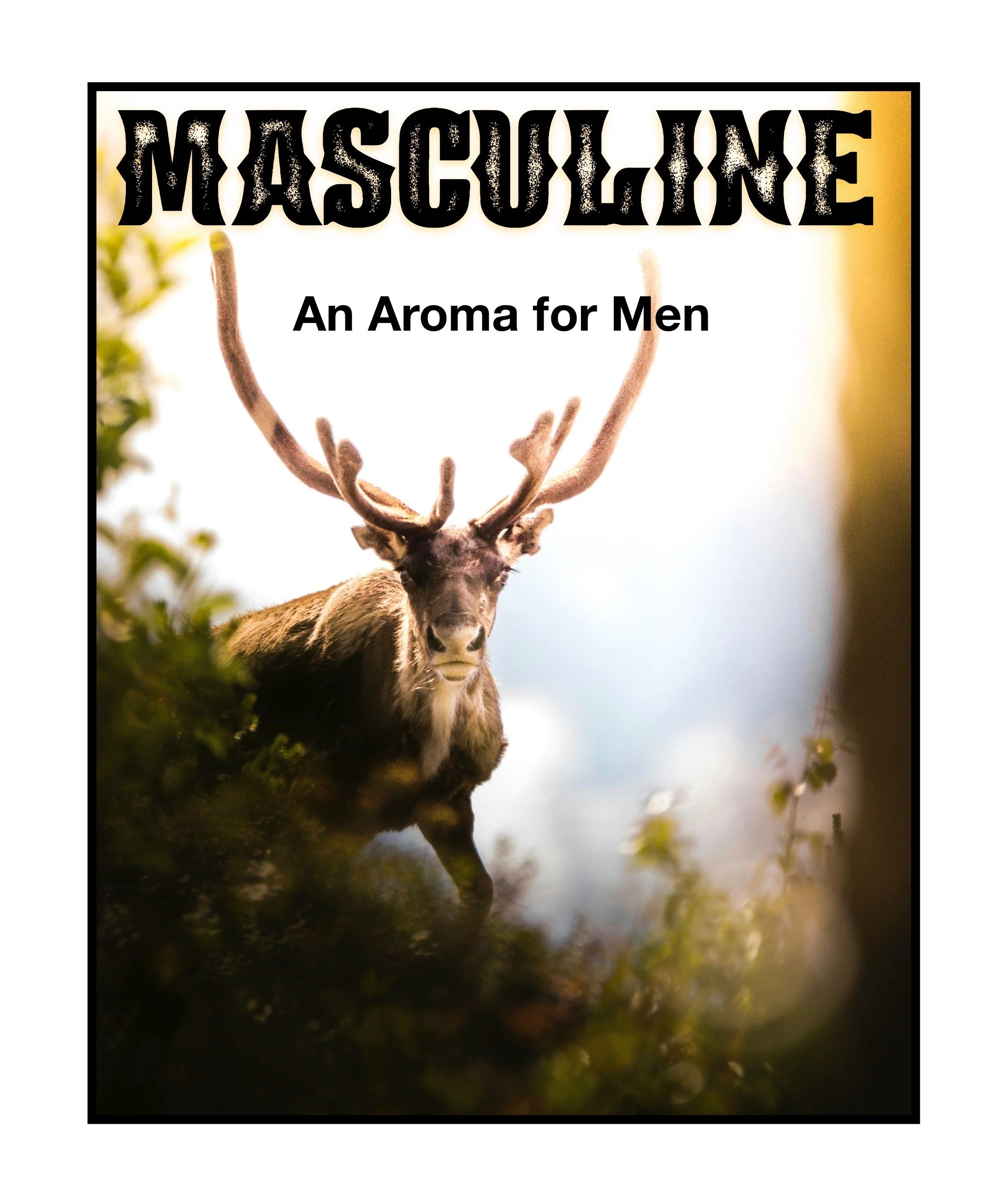 MASCULINE - Men's Aroma