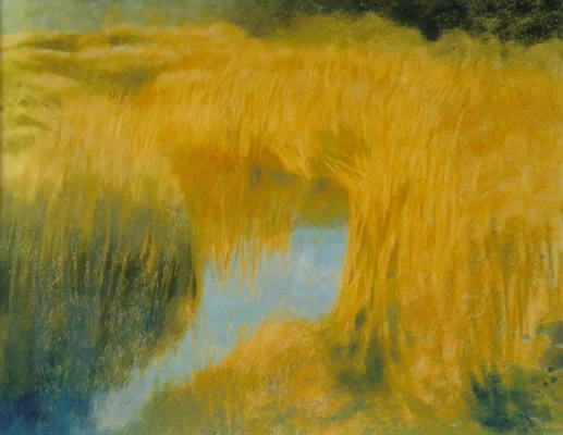In the reeds