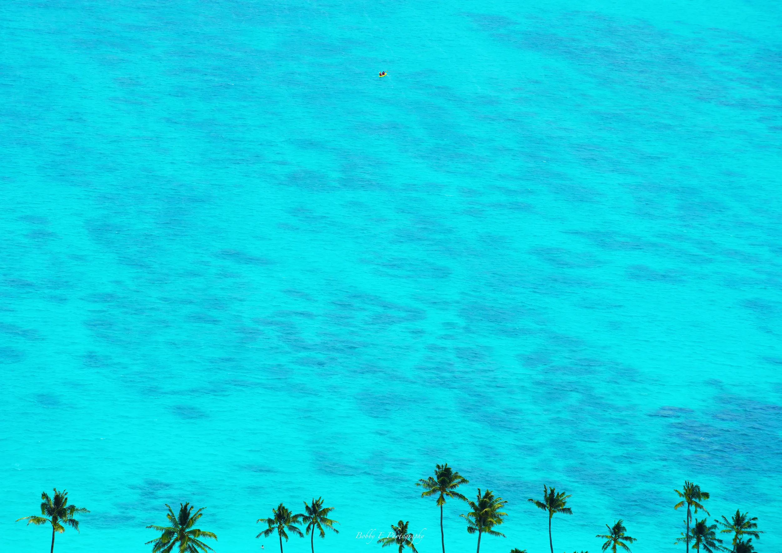 water_final.jpg