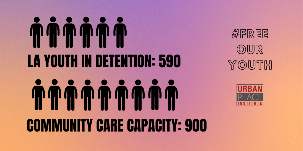 Free Our Youth Youth Re-Entry Support Inventory