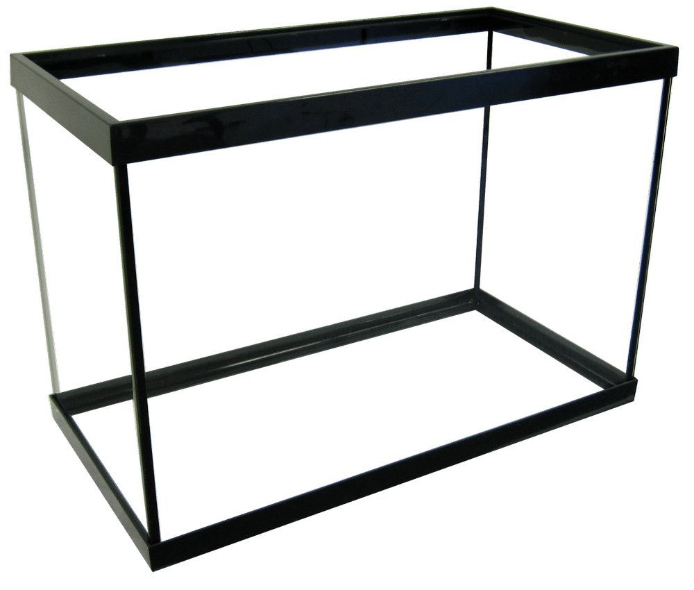 Sizes of Fish Tanks: Ultimate Guide to Perfect Aquarium Choices