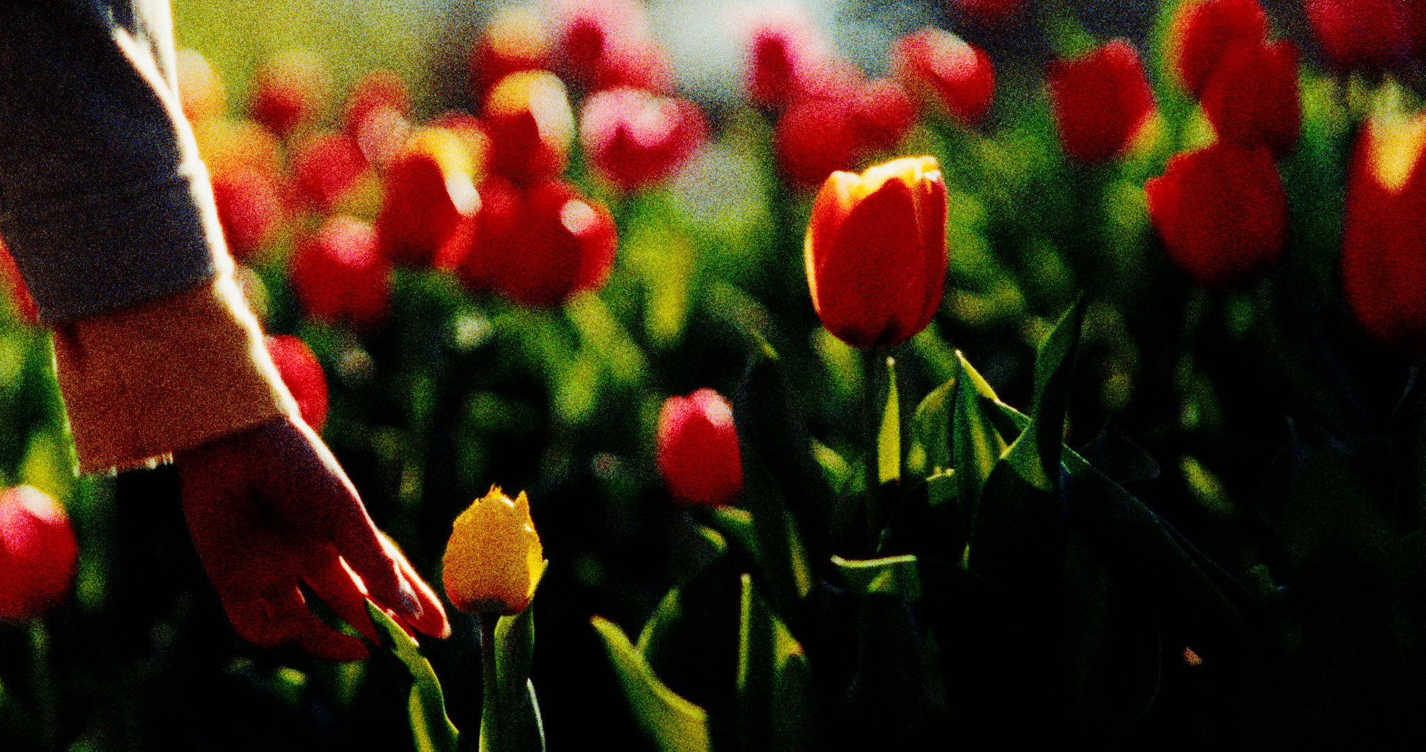 Still 2026-04-09 145216_1.86.1.PNG