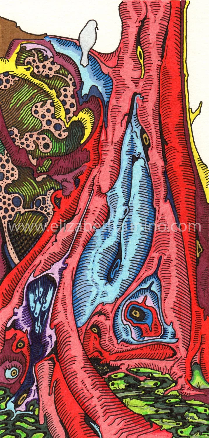 Heartlines