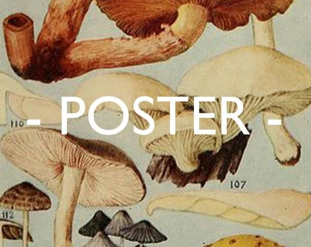 Poster.jpg