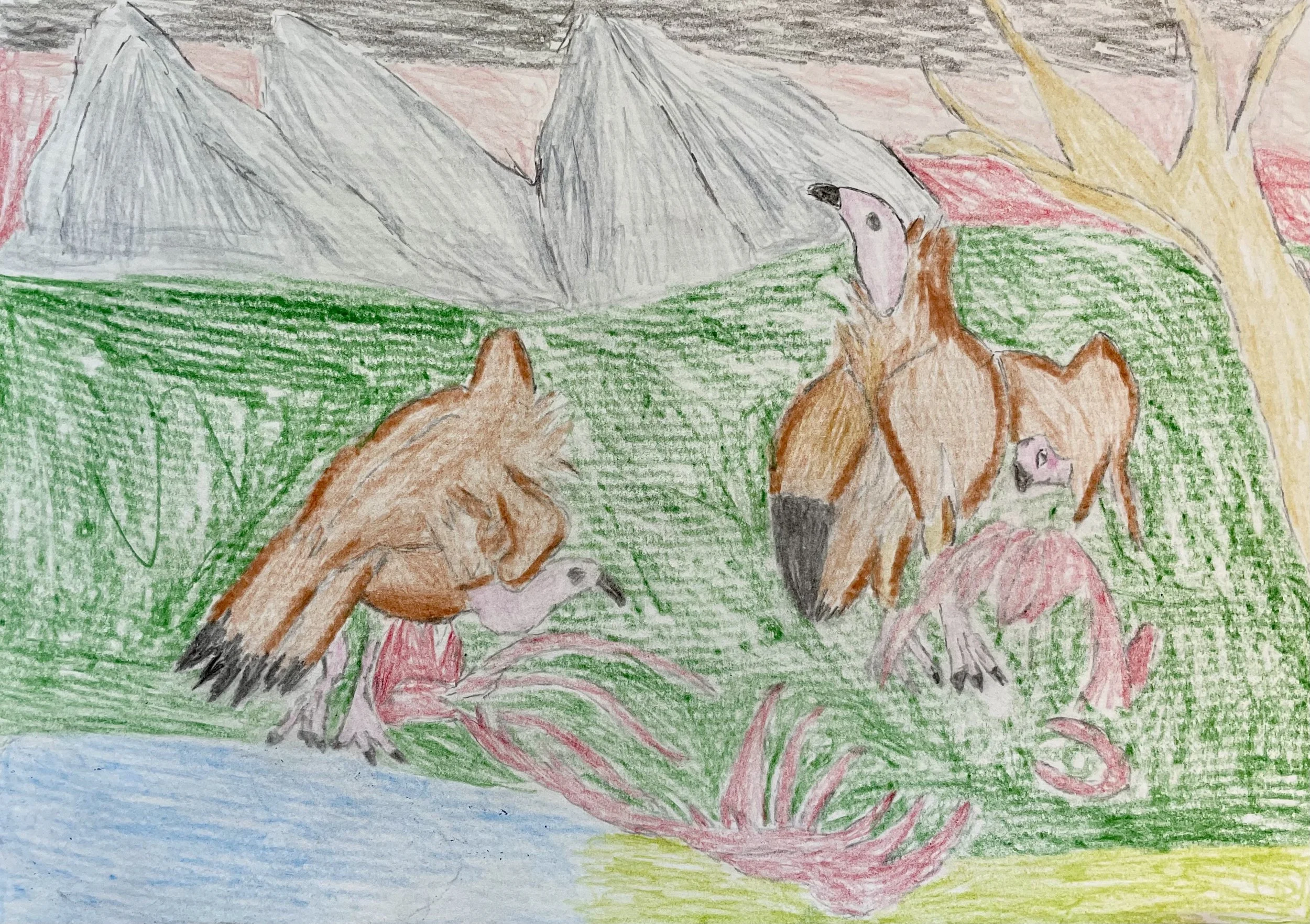 Rama Birds 2.jpg