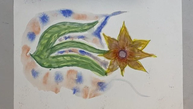 IMG_2231 Medium.jpeg