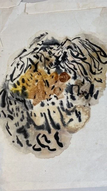 IMG_2204 Medium.jpeg