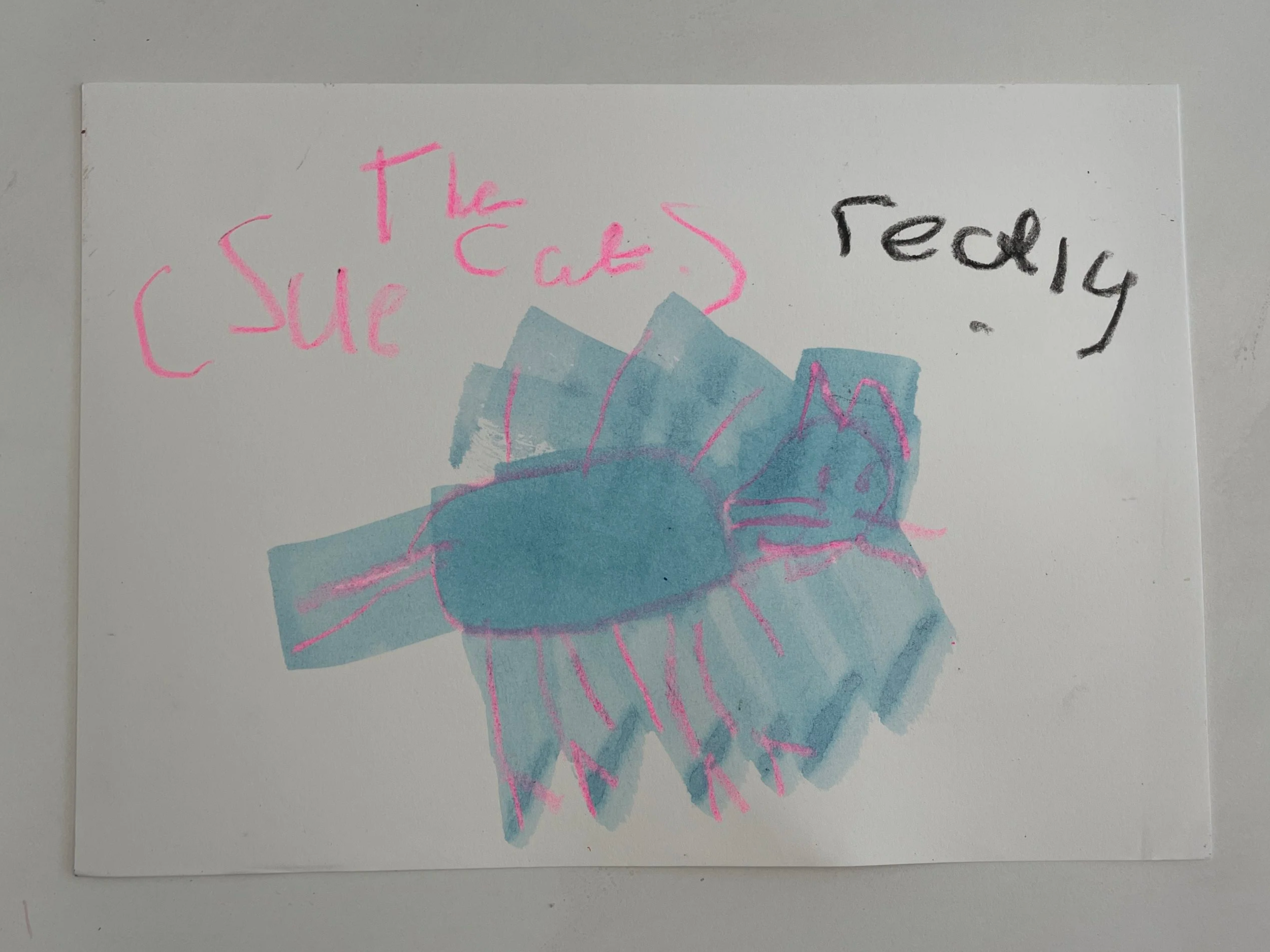 IMG_0761.png