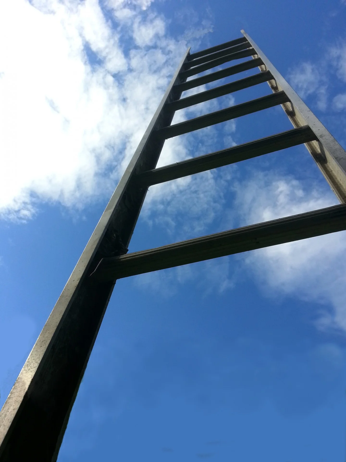 ladder.jpg