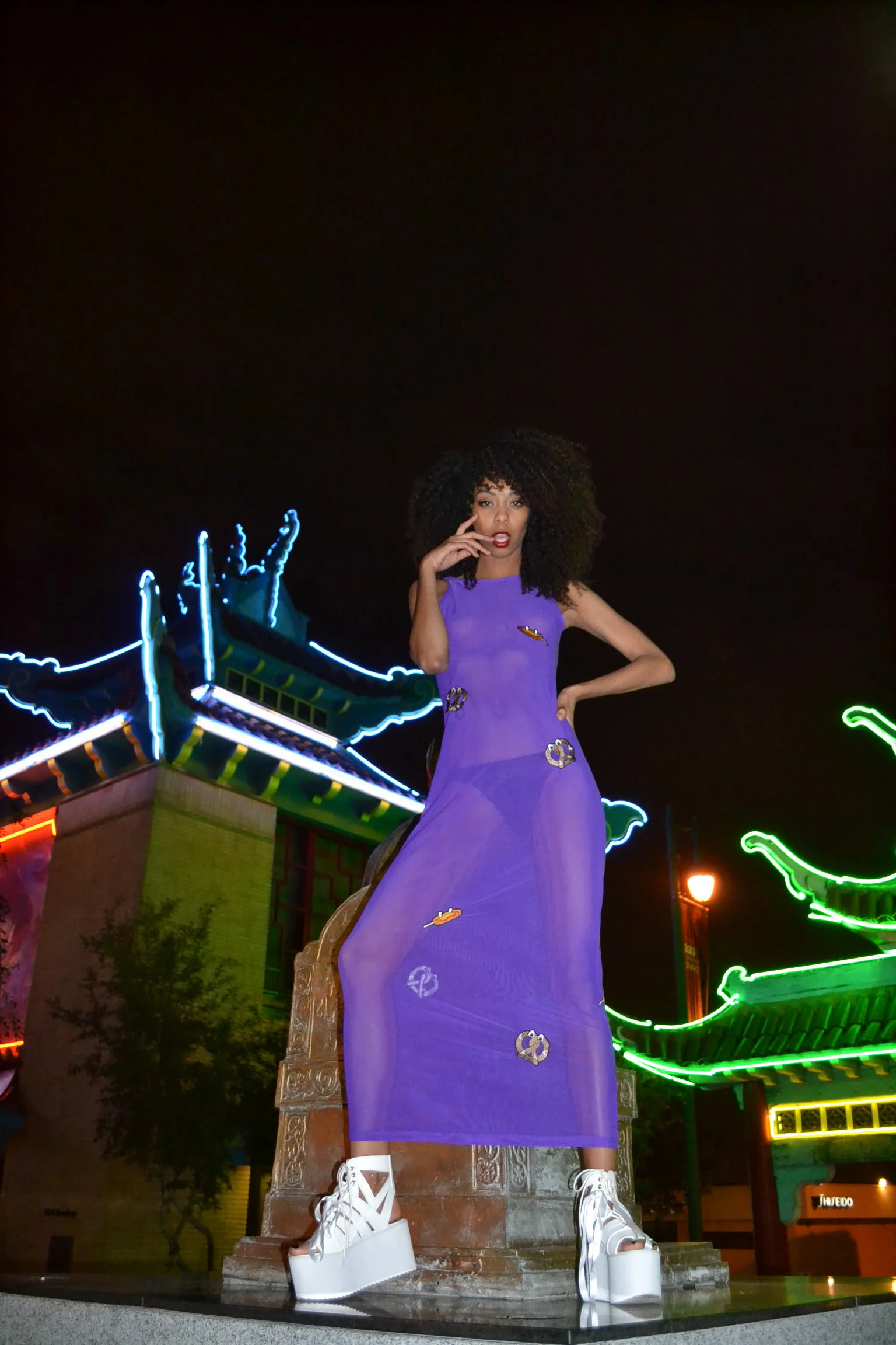 DSC_0036.jpg