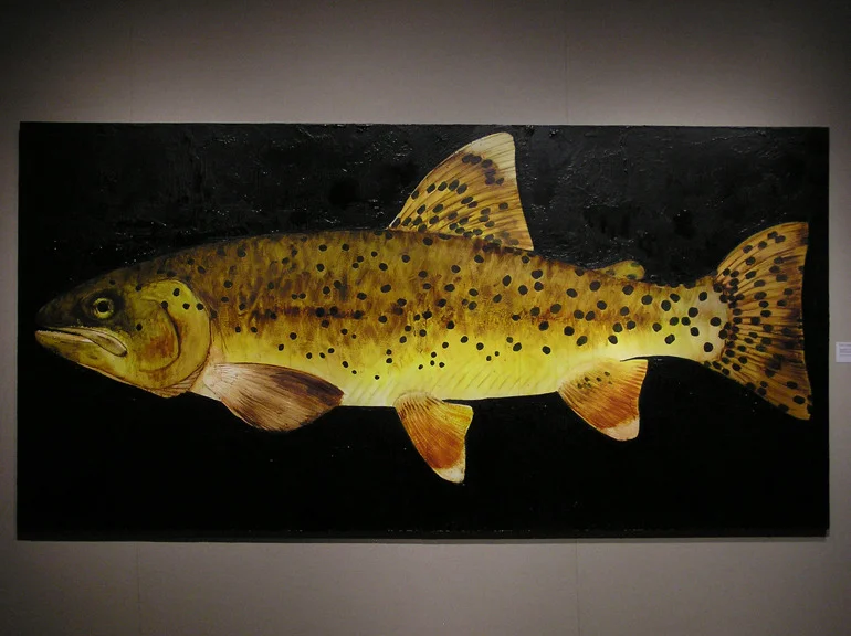 Apache Trout, Oncorhynchus gilae apache