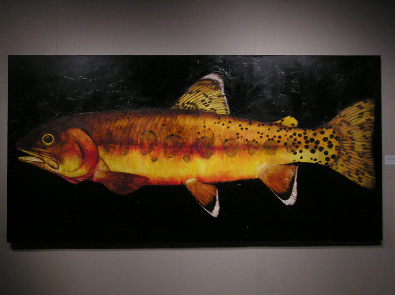 Golden Trout Creek Golden Trout, Oncorhynchus mykiss aguabonita