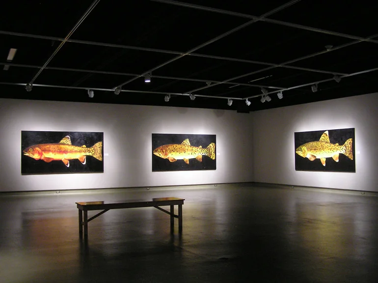 Native Trout of the American West, Installation View