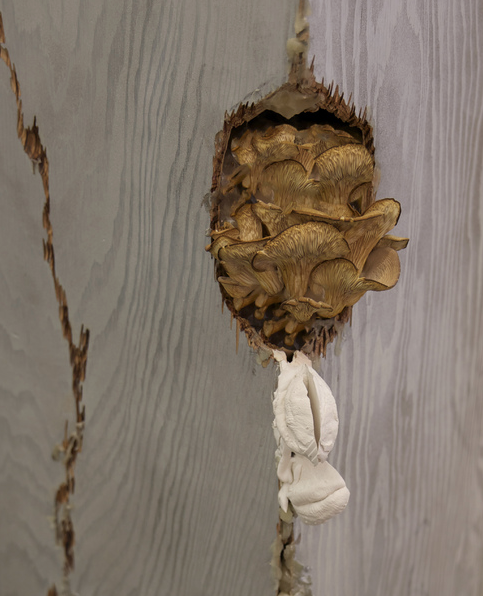  Growing mushrooms inside a pillar that has the grain of a tree? How odd. Plaster "fungi" lips surround it. 