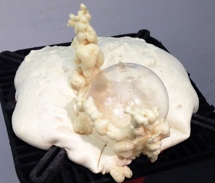  This thing grew on its own. All the little tentacles happened spontaneously. They grew like the mushrooms on my other sculpture. 