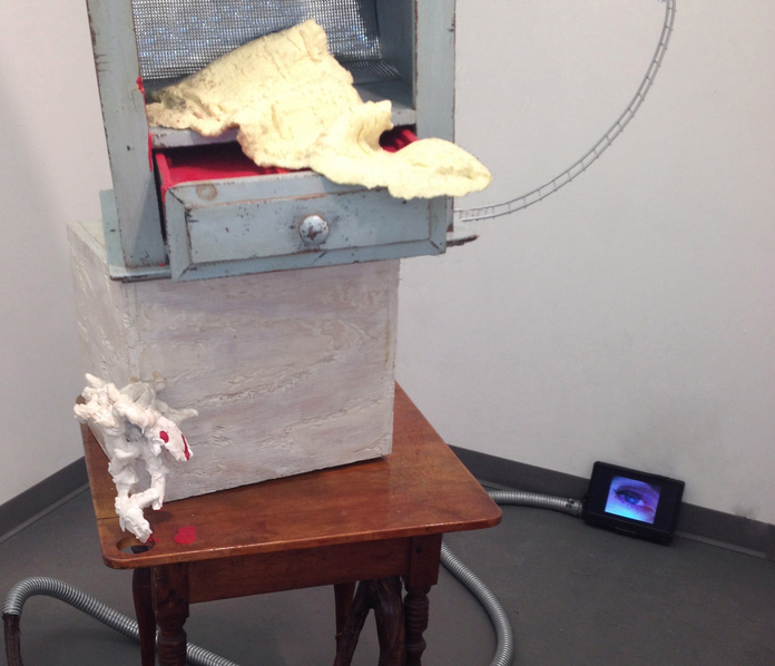  detail, closet anarchist 