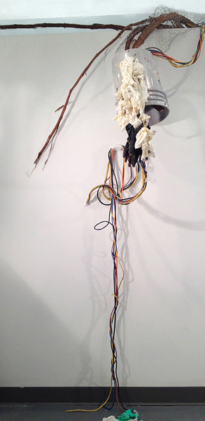  cycle (or dancing, after Frank Gehry) &nbsp; ;  Growing out of and through the wall, this sculpture of found objects and natural elements embodies movement.  vine, chicken wire, plastic bucket and gloves, wire, 104 x 54 x 36 inches including wall an