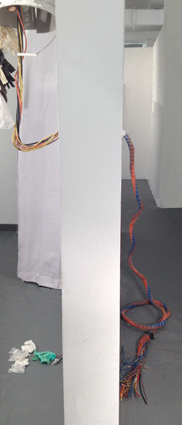  detail: cycle 