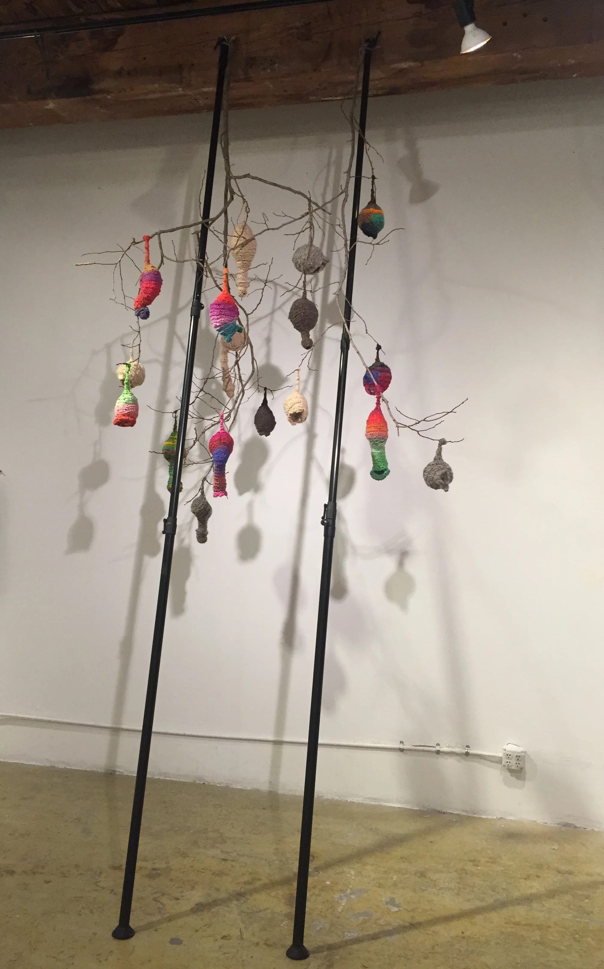 cuffing season Thinking With Our Hands Exhibtion, RABBITHOLE PROJECTS, Brooklyn, NY dimensions variable, monopods, branches, yarn, up-cycled grocery bags (stuffing), 2016 These fertility sculptures speak to the generative body through the lense of Baya Weaver Bird nests, which are astonishingly humanoid. After males lure females into their nests for mating, they then retreat to their unfinished bachelor nests to lure the next female. There is an audio component with the installation. It is a recording of me whistling birdsongs from memory. I've thrown in a few cat calls as well. Vimeo link here.