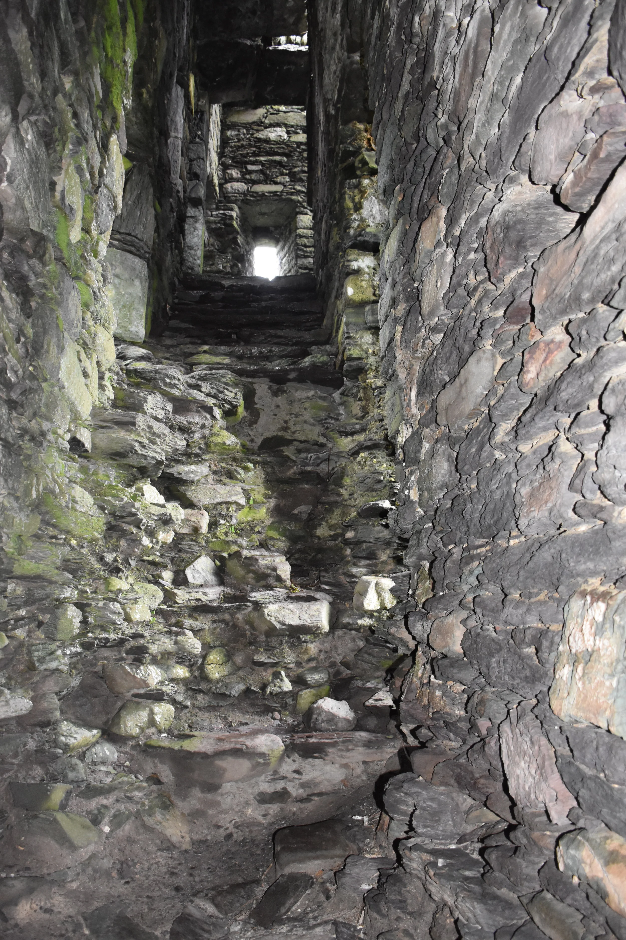 Stairs... copyright Donna Cleary