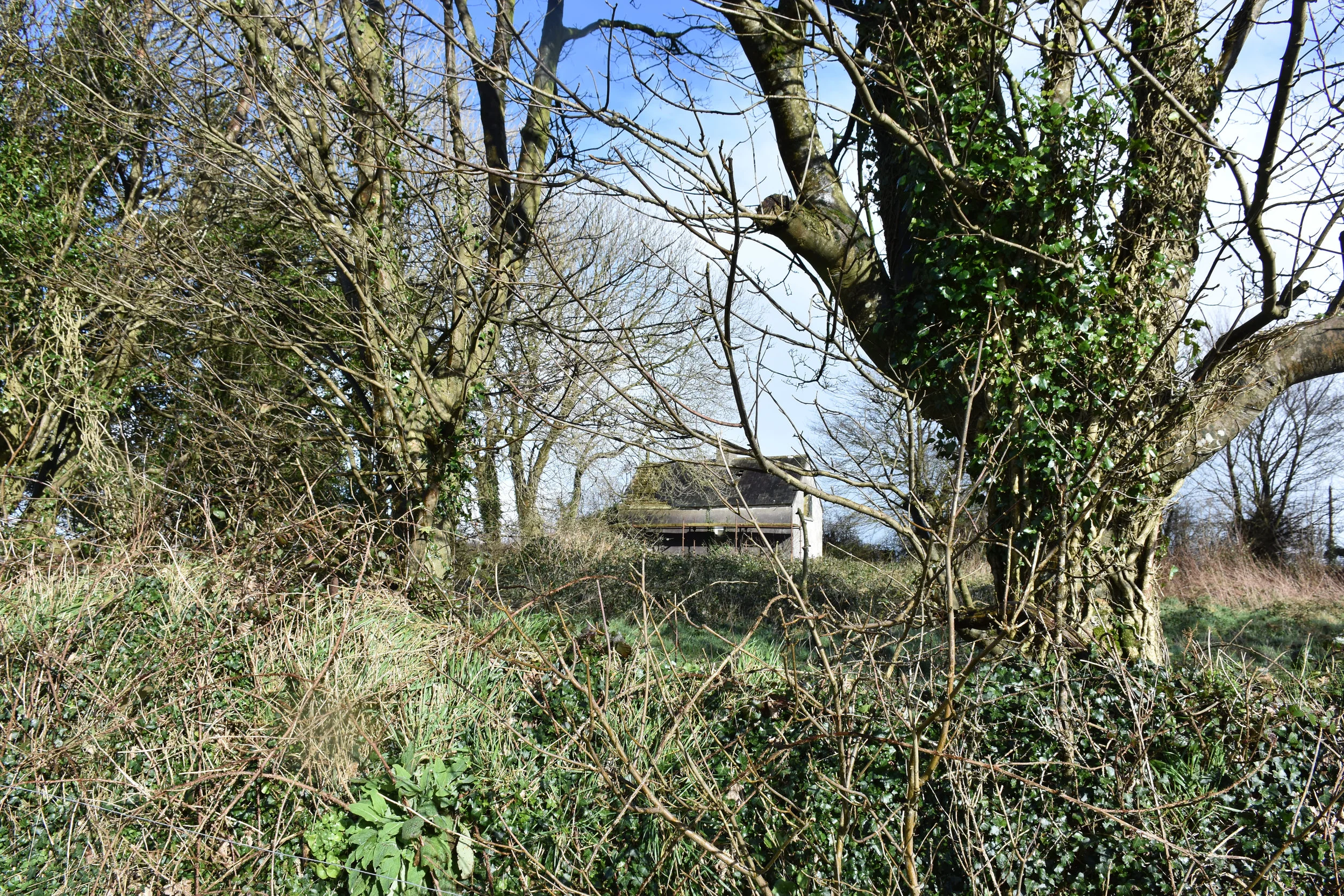 Standing by the Megaliths looking back at the cottage and the road. I wonder what it must have been like to have ancient magic in your backyard. Were they tuned in? Or were they like those behind the Iron Curtain? Too busy trying to stay alive.