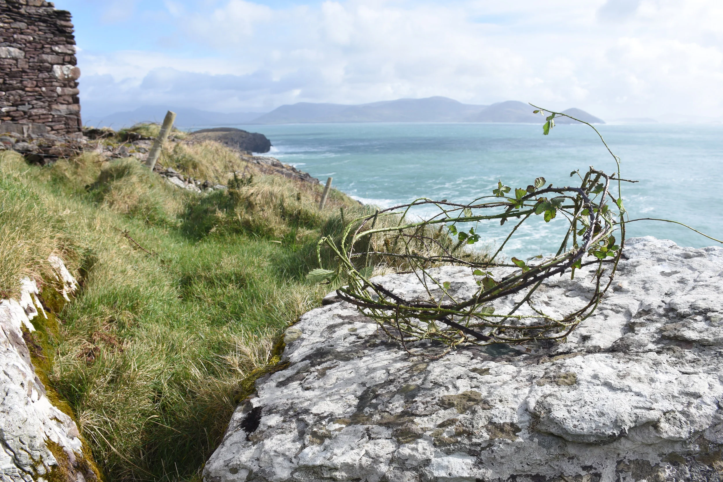 offering: bramble vessle See still from the storm ceremony I performed using this vessel under 2017, Ireland, video. Video under construction.