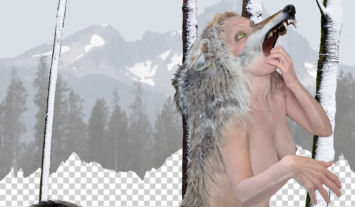 Coyote Woman in the Cascades, photo collage and drawing, Julia Oldham, 2017