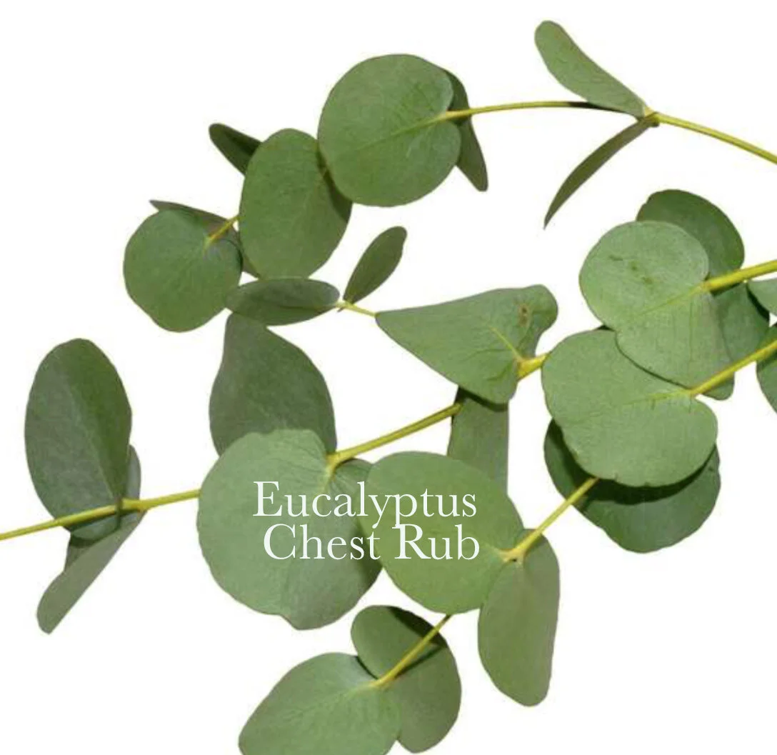Eucalyptus Chest Rub — Organic Herbs/Plants for Anxiety, Pain, Immunity