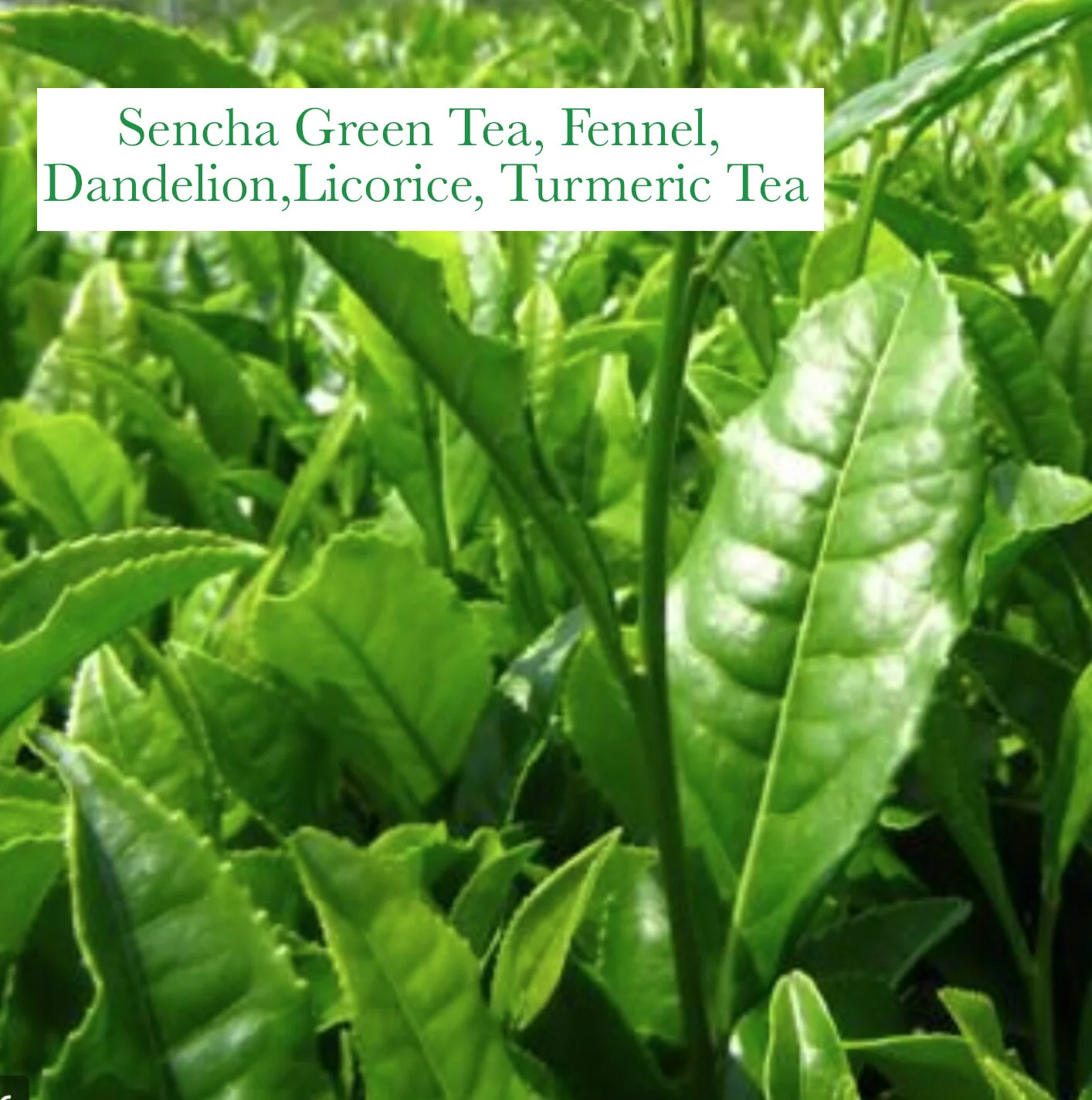 Go to spiralherbalremedies.com