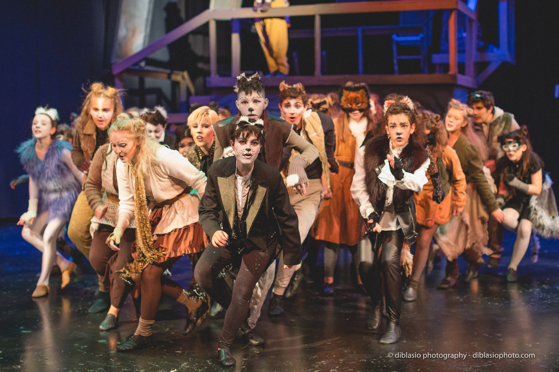 Screen Shot 2017-08-14 at 10.05.53 PM.png